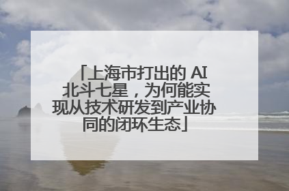 上海市打出的 AI 北斗七星，为何能实现从技术研发到产业协同的闭环生态