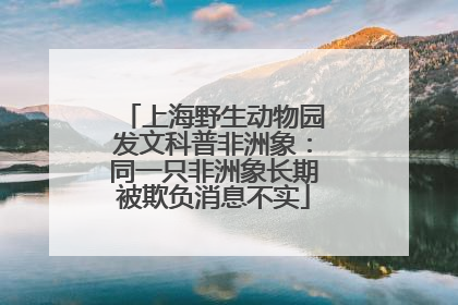 上海野生动物园发文科普非洲象：同一只非洲象长期被欺负消息不实