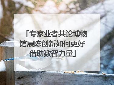 专家业者共论博物馆展陈创新如何更好借助数智力量