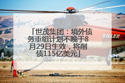 世茂集团：境外债务重组计划不晚于8月29日生效，将削债115亿美元