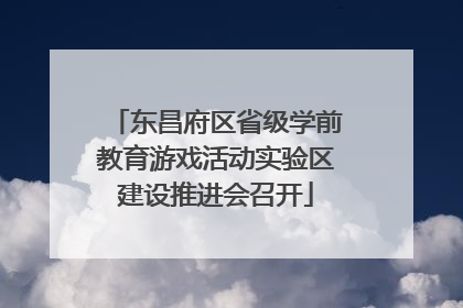 东昌府区省级学前教育游戏活动实验区建设推进会召开