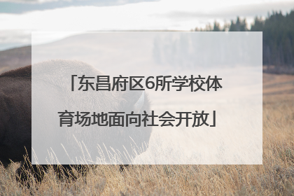 东昌府区6所学校体育场地面向社会开放