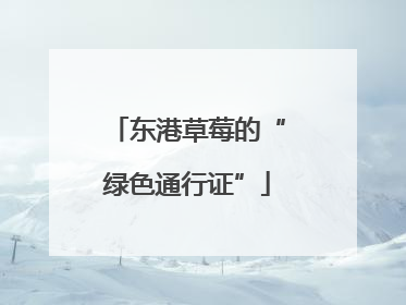 东港草莓的“绿色通行证”