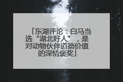 东湖评论：白马当选“湖北好人”，是对动物伙伴道德价值的深情褒奖