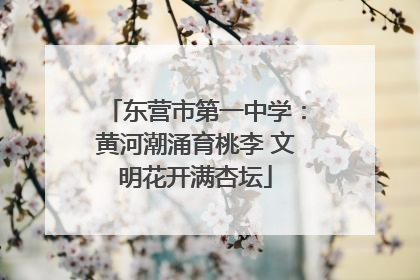 东营市第一中学：黄河潮涌育桃李 文明花开满杏坛