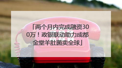 两个月内完成融资300万！政银联动助力成都金堂羊肚菌卖全球