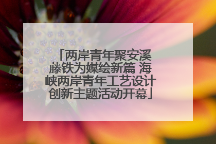两岸青年聚安溪 藤铁为媒绘新篇 海峡两岸青年工艺设计创新主题活动开幕