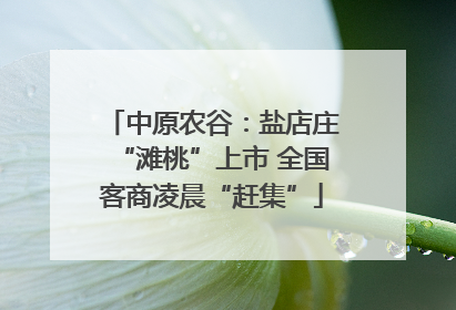 中原农谷：盐店庄“滩桃”上市 全国客商凌晨“赶集”