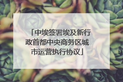 中埃签署埃及新行政首都中央商务区城市运营执行协议