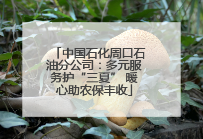 中国石化周口石油分公司：多元服务护“三夏” 暖心助农保丰收