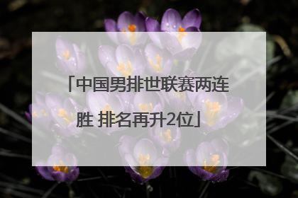 中国男排世联赛两连胜 排名再升2位