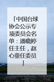 中国台球协会公示专项委员会名单：潘晓婷任主任，赵心童任委员