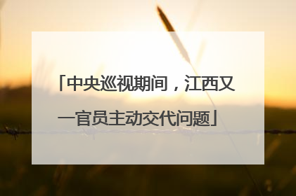 中央巡视期间，江西又一官员主动交代问题