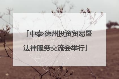 中泰·德州投资贸易暨法律服务交流会举行