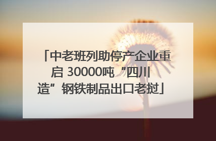 中老班列助停产企业重启 30000吨“四川造”钢铁制品出口老挝