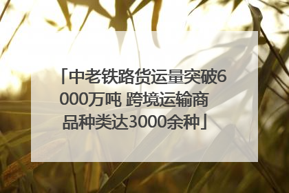 中老铁路货运量突破6000万吨 跨境运输商品种类达3000余种