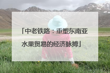 中老铁路：重塑东南亚水果贸易的经济脉搏