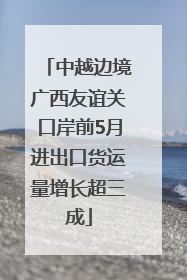 中越边境广西友谊关口岸前5月进出口货运量增长超三成