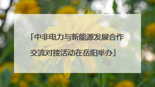 中非电力与新能源发展合作交流对接活动在岳阳举办