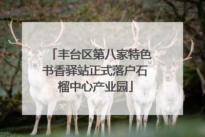 丰台区第八家特色书香驿站正式落户石榴中心产业园