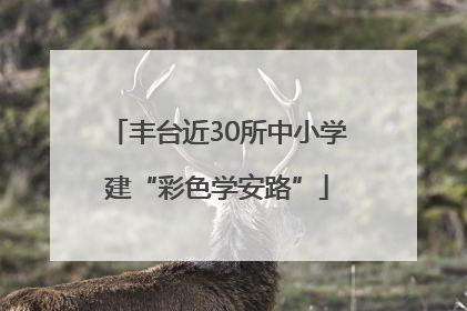 丰台近30所中小学建“彩色学安路”
