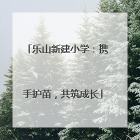 乐山新建小学：携手护苗，共筑成长