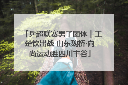 乒超联赛男子团体｜王楚钦出战 山东魏桥·向尚运动胜四川丰谷