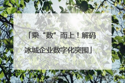 乘“数”而上！解码冰城企业数字化突围