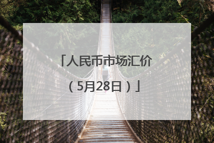 人民币市场汇价（5月28日）