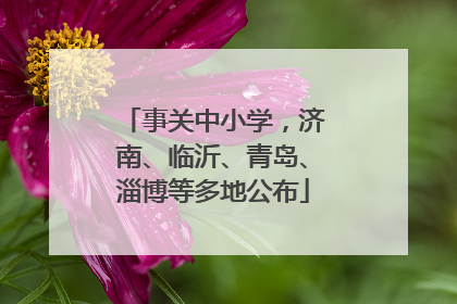 事关中小学，济南、临沂、青岛、淄博等多地公布