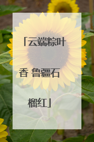 云端粽叶香 鲁疆石榴红