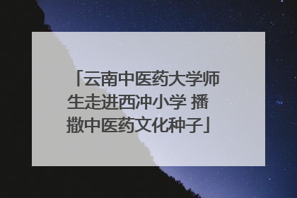 云南中医药大学师生走进西冲小学 播撒中医药文化种子