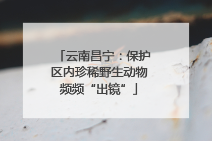 云南昌宁：保护区内珍稀野生动物频频“出镜”