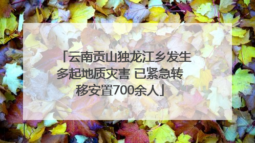 云南贡山独龙江乡发生多起地质灾害 已紧急转移安置700余人