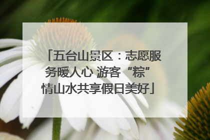 五台山景区：志愿服务暖人心 游客“粽”情山水共享假日美好