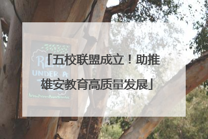 五校联盟成立！助推雄安教育高质量发展