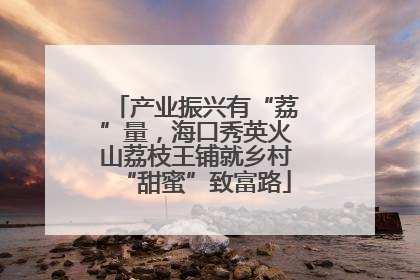 产业振兴有“荔”量，海口秀英火山荔枝王铺就乡村“甜蜜”致富路