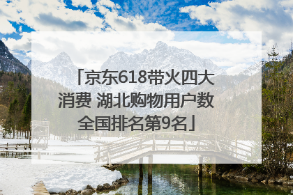 京东618带火四大消费 湖北购物用户数全国排名第9名
