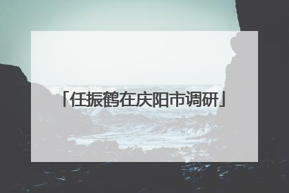 任振鹤在庆阳市调研