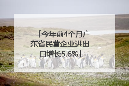 今年前4个月广东省民营企业进出口增长5.6%