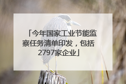 今年国家工业节能监察任务清单印发，包括2797家企业