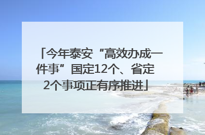 今年泰安“高效办成一件事”国定12个、省定2个事项正有序推进