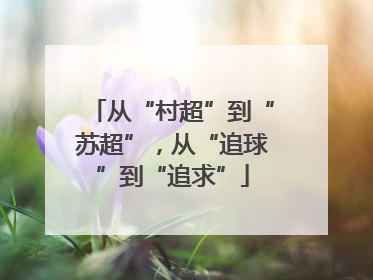 从“村超”到“苏超”，从“追球”到“追求”