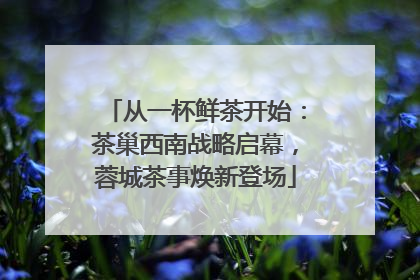 从一杯鲜茶开始：茶巢西南战略启幕，蓉城茶事焕新登场