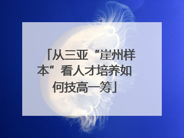 从三亚“崖州样本”看人才培养如何技高一筹