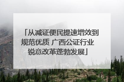 从减证便民提速增效到规范优质 广西公证行业锐意改革蓬勃发展
