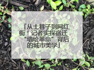 从土巷子到网红街！记者实探宿迁“墙绘革命”背后的城市美学