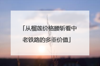 从榴莲价格腰斩看中老铁路的多重价值