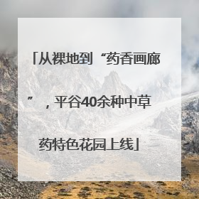 从裸地到“药香画廊”，平谷40余种中草药特色花园上线
