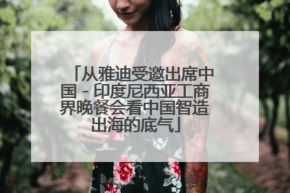 从雅迪受邀出席中国－印度尼西亚工商界晚餐会看中国智造出海的底气